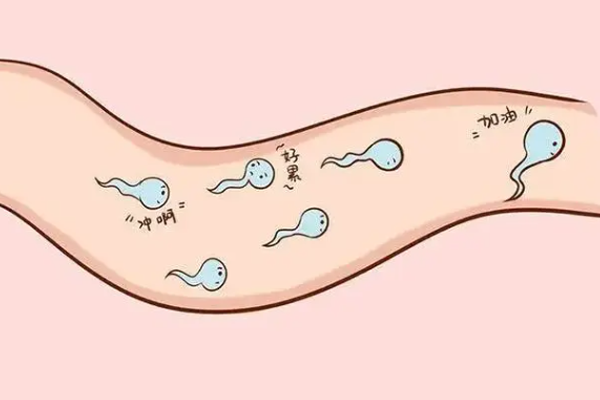 精子质量好的精液形态是淡黄色或乳白色胶冻状的吗？