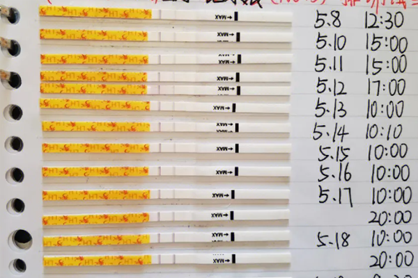 使用排卵试纸的正确时间是月经来潮第11-12天吗？