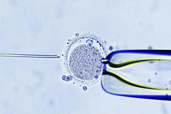 为什么胚胎移植前做了试管婴儿种植窗还是没着床成功？