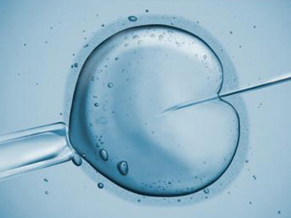 试管婴儿从内膜准备到移植全过程需要多久时间才能完成？