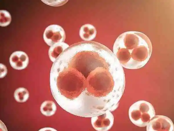 胚胎成功着床几周后还会不会出现生化的情况？