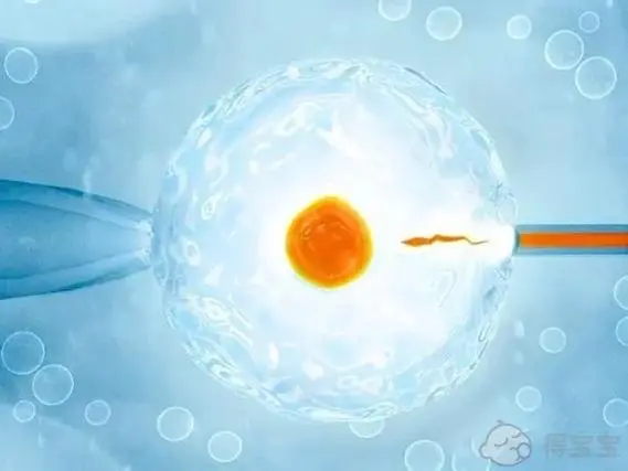 切除一侧输卵管后自然怀孕几率大还是做试管婴儿？