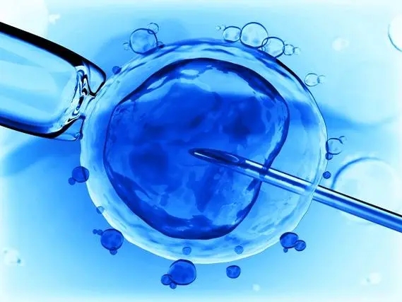取卵手术后出现哪些情况不适合马上移植鲜胚？