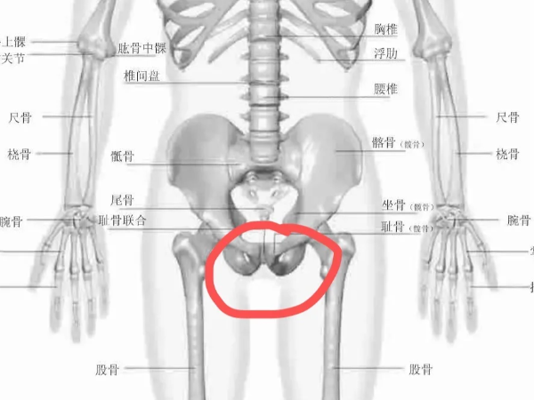 孕9个月耻骨两侧突然痛得厉害怎么可以快速缓解？