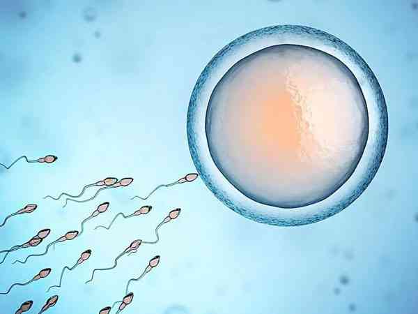 男方精子活力低女方排卵障碍可以做二代试管婴儿吗？