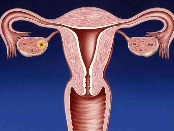 宫颈锥切后做试管婴儿会影响胚胎移植成功率吗？