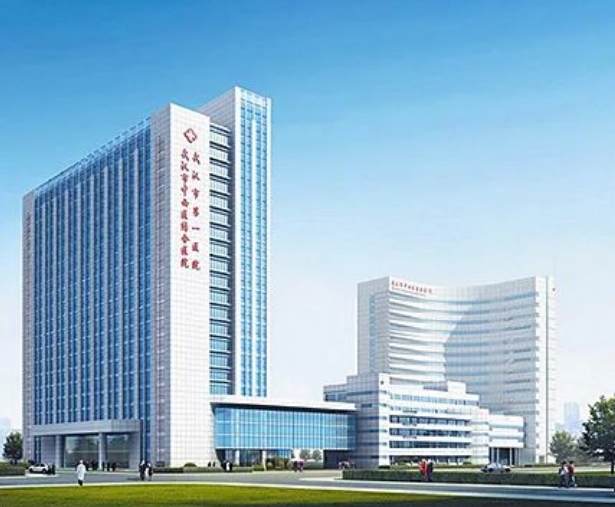 武汉市中西医结合医院（武汉市第一医院）能做试管婴儿吗？