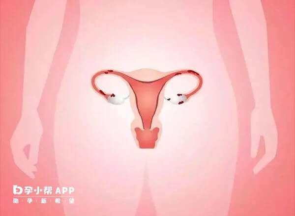 内膜厚可能存在子宫病变