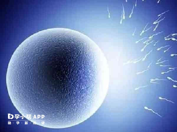 囊胚培养是需要满足特点条件的