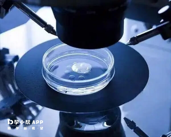 三代试管筛查技术可以排除异常胚胎