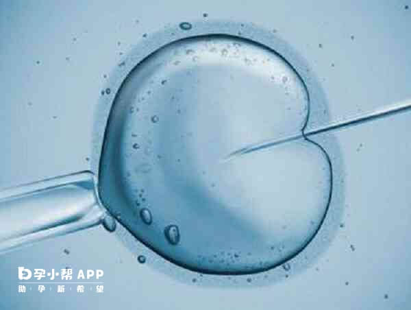 冻胚移植可以用自然周期