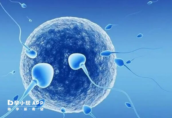 三代试管婴儿会对胚胎染色体进行筛查