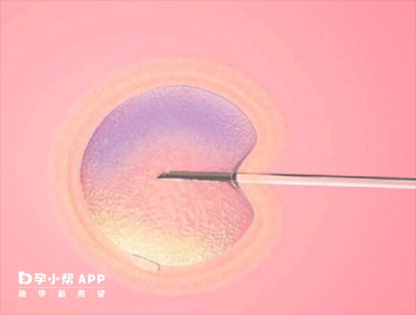 囊胚移植第6天胚胎可能还未着床