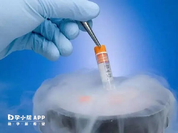 冷冻胚胎的时间它不会影响胚胎的质量