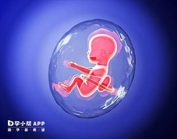 胚胎发育潜能差容易出现先兆流产