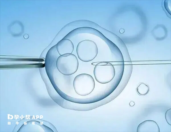 胚胎着床后和自然怀孕过程相差不大