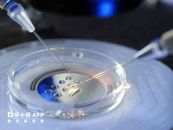 胚胎培养液由保养液和对应的专用液体培养液共同构成