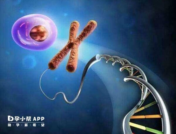 基因重组可以用于研究治疗疾病