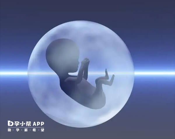 试管婴儿可挑选优质胚胎移植