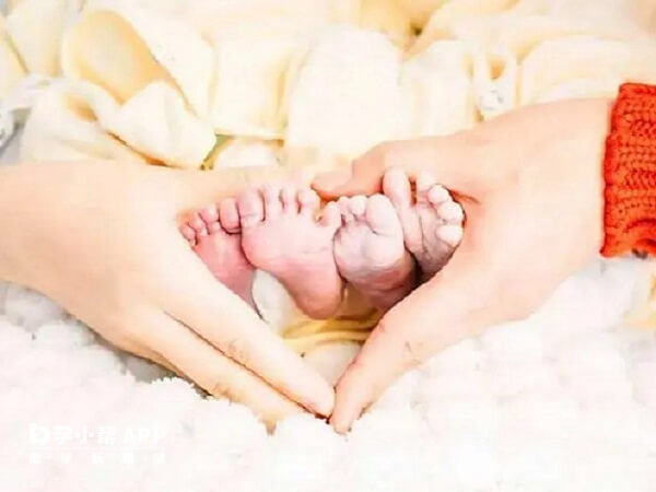 试管婴儿怀双胞胎的风险可达30%甚至更高