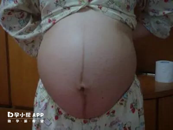 怀女孩肚子最下方的弧线是倒梯形