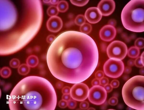 上海本地已有19家医院开展了辅助生殖技术