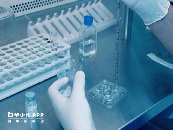 目前湖北省共有32家生殖机构可开展人类辅助生殖技术