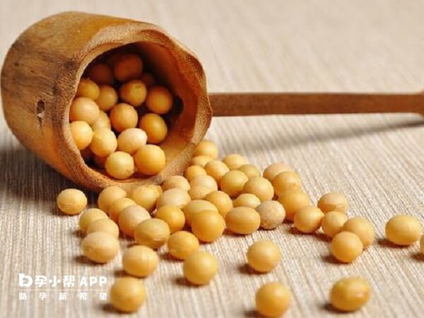 试管移植后适量吃黄豆可以达到提高胚胎着床率的功效
