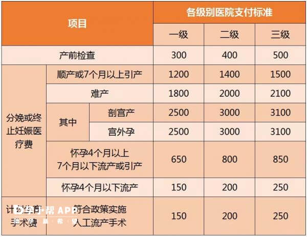 重庆市职工生育保险待遇支付标准