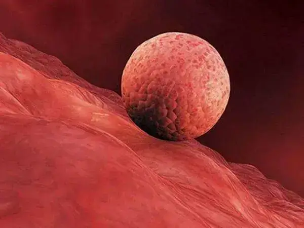 大部分女性在胚胎着床期间一般不会有任何明显的症状