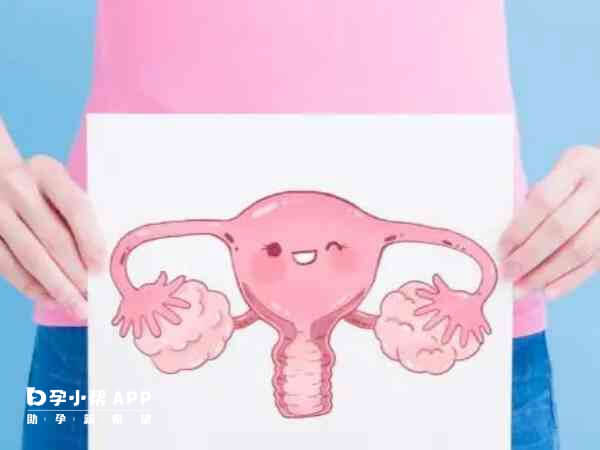 胚胎着床会出现阴道出血