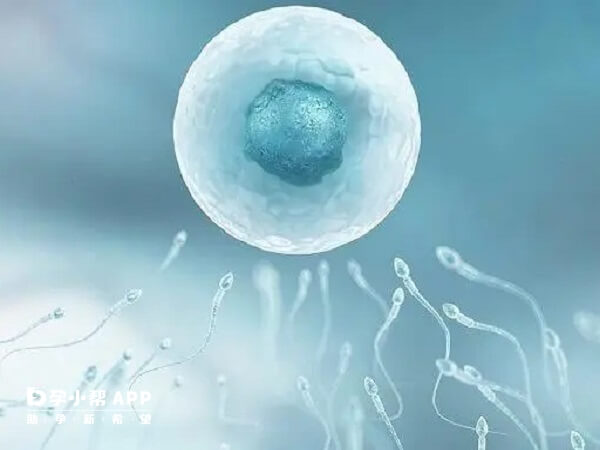 只有卵子和精子结合才能形成受精卵