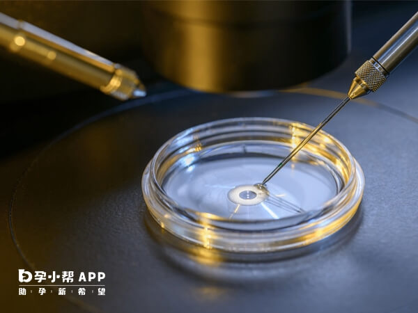 试管婴儿每个胚胎都是单独培养的