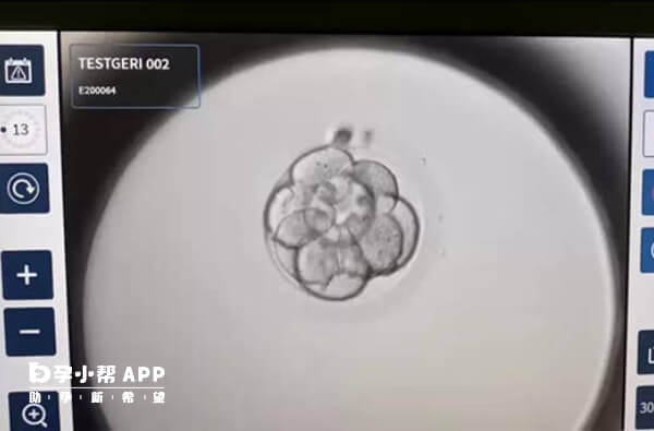 c级胚胎可以移植