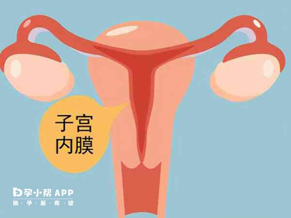 子宫内膜厚度大于10厘米利于胚胎着床