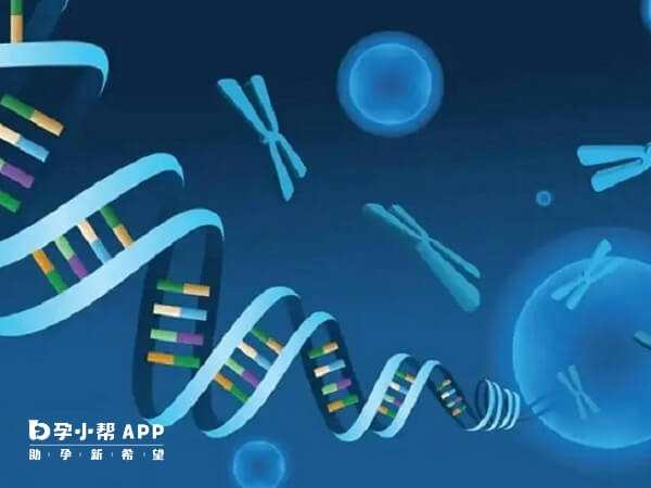 三代试管可以筛查携带染色体疾病的胚胎