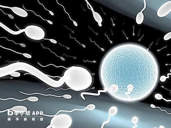 畸形精子适合做二代试管婴儿