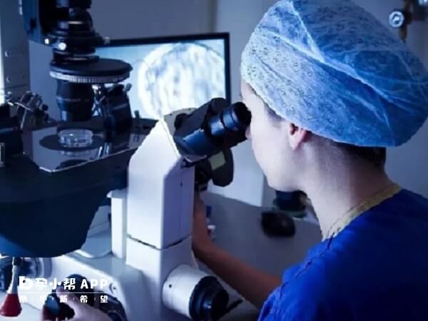 胚胎活检费取决于囊胚检测个数