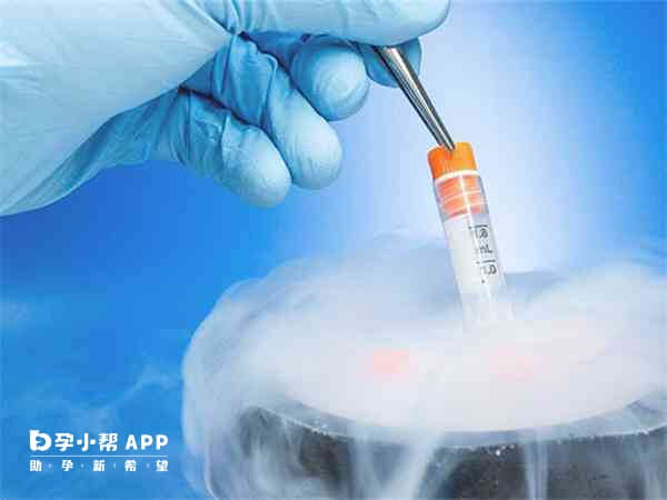 冻胚技术是辅助生育的常规应用方法