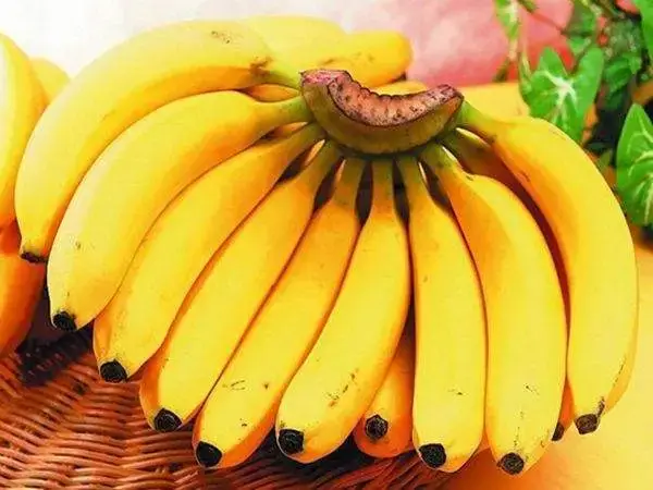 香蕉中鞣酸比较高会加重便秘