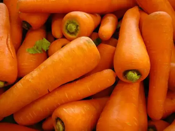 胡萝卜是维生素A的来源