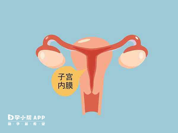 子宫内膜薄的女性患者宜清淡饮食