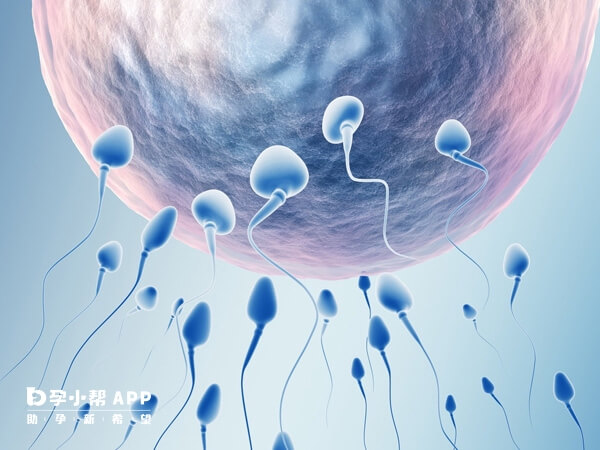 精卵结合仅是完成了受精过程