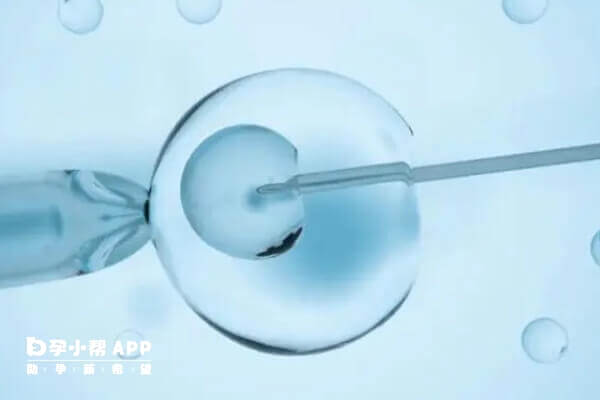 胚胎评分有严格标准