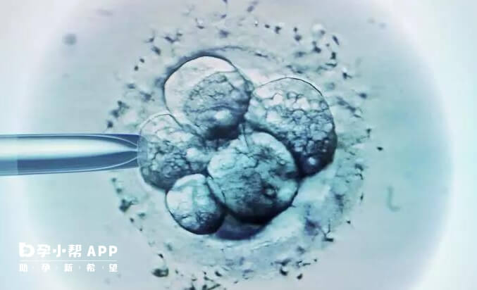 胚胎解冻后级别通常不会变化