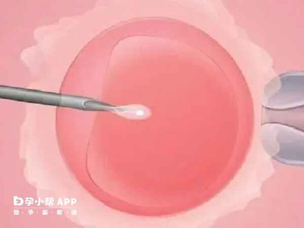 囊胚一般在3到4天左右着床