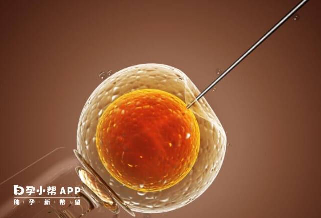 自然周期移植冻胚成功率有百分之五十