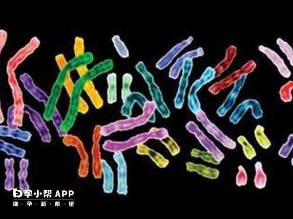 16号染色体结构的变化与几种类型的癌症有关