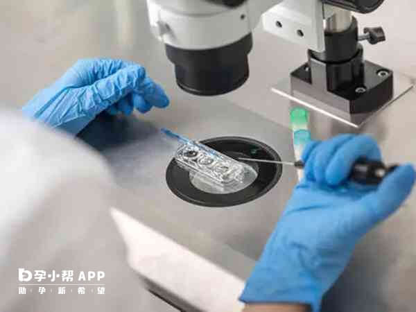 三代试管可以筛选健康胚胎移植