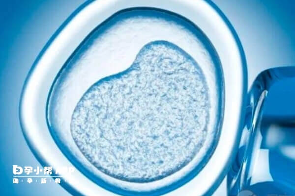 嵌合体胚胎移植需要看具体情况